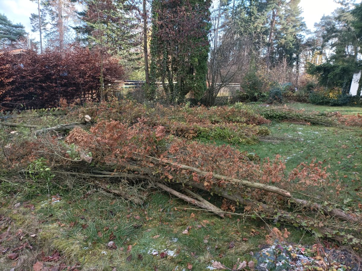 Rückschnitt und Gehölzarbeiten