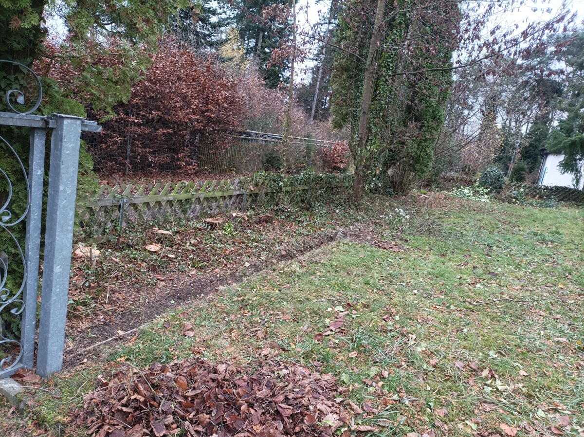 Gartenbereich nach der Pflege